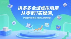 拼多多全域虚拟电商从零到1实操课,小白虚拟电商从0到1实操到精通-网创资源站