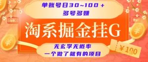 淘系掘金挂G项目,单账号日收益30~100+,多号多得,一个做了就有的项目【揭秘】-网创资源站