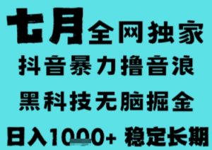 7月最新风口抖音无人直播撸音浪,长期稳定,非短期,全自动运行,低门槛无脑,日入1k+【揭秘】-网创资源站