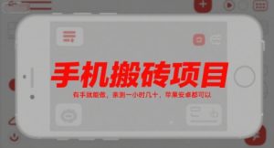 手机搬砖项目,有手就能做,亲测一小时几十,苹果安卓都可以-网创资源站