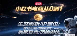 小红书电商从0到1：生态解析/IP定位/ 账号运营/爆款创作/直播带货/数据复盘/风险避坑-网创资源站