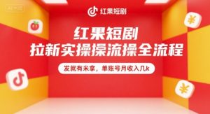 红果短剧拉新实操全流程，发就有米拿，单账号月收入几k-网创资源站