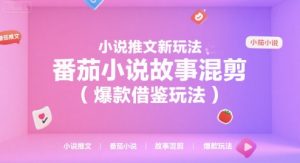 小说推文新玩法，番茄小说故事混剪(爆款借鉴玩法)-网创资源站