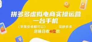 拼多多虚拟电商实操运营，一台手机(苹果安卓都可以)，深耕多多店铺日收4位数-网创资源站
