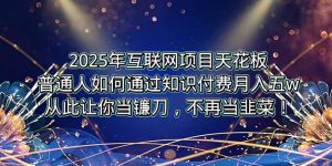 2025年互联网项目天花板，普通人如何通过卖项目实现逆风翻盘，月入5W＋！-网创资源站