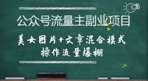 公众号流量主副业项目，美女图片+文章混合模式操作流量爆棚-网创资源站