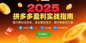 拼多多盈利实战指南，强付费玩法，活动爆流技术，微付费破局方案(更新7月-网创资源站