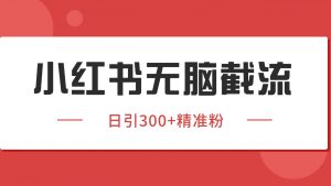 小红书截流同行客源，独家野路子获客玩法 日引200+暴力获客-网创资源站