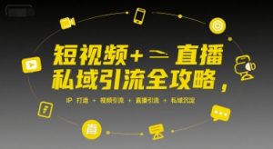 短视频+直播私域引流全攻略，IP打造 +视频引流 +直播引流 +私域沉淀-网创资源站