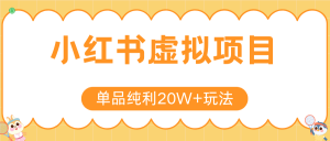 小红书虚拟电商新玩法，实现单品纯利20W+，可矩阵放大操作！-网创资源站