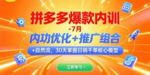 拼多多爆款内训-7月 内功优化+推广组合+自然流 30天掌握日销千单核心模型-网创资源站