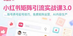 小红书矩阵引流实战课3.0：账号养号起号技巧，免裴矩阵运营，AI内容生产-网创资源站