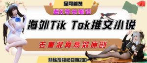 海外tiktok小说推文暴力项目,高停留率,高转化率,上手后一天搞顿饭钱不是问题-网创资源站