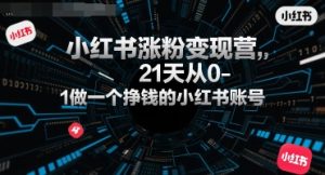 小红书涨粉变现营,21天从0-1做一个挣钱的小红书账号-网创资源站