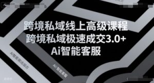 跨境私域线上高级课程，跨境私域极速成交3.0+Ai智能客服-网创资源站