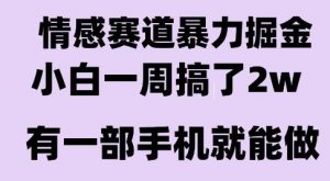 情感暴力掘金项目，新人操作一周挣了2W，长期稳定小白可做【揭秘】-网创资源站