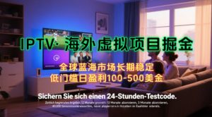 【海外虚拟项目掘金】日入100-200美刀,自己在家就可以闷声发大财,长期可做,工作室可复制扩大【揭秘】-网创资源站