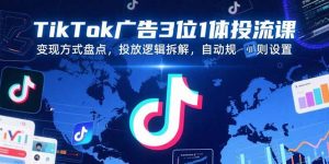 TikTok广告3位1体投流课，变现方式盘点，投放逻辑拆解，自动规则设置-网创资源站