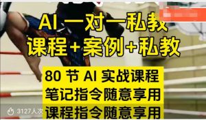 AI指令实战课,课程+案例,80节AI实战课程,笔记指令随意享用,课程指令随意享用(更新7月)-网创资源站