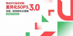商业IP打造全攻略：差异化SOP3.0流程，短视频协议模板，婚恋项目实战案例-网创资源站