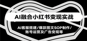 AI融合小红书变现实战课，AI客服搭建/爆款图文SOP制作/账号运营及广告变现等-网创资源站