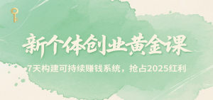新个体创业黄金课,7天构建可持续赚钱系统,抢占2025红利-网创资源站
