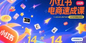 小红书虚拟电商速成课：个人定位分析，原创产品开发，14天变现路径规划-网创资源站