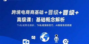 跨境电商基础+晋级+高级课：基础概念解析,Tk私域涨粉技巧,AI客服系统搭建-网创资源站