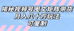 解密视频号图文矩阵带货，月入几个W的打法，可复制-网创资源站