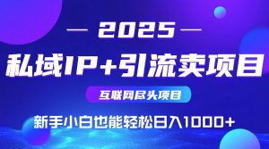2025网创尽头项目,私域IP+引流,新手小白也能在家日入1000+-网创资源站