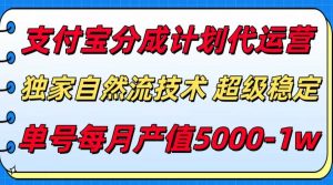 支付宝分成计划代运营，独家自然流技术，收益稳定，单号月产5000＋-网创资源站