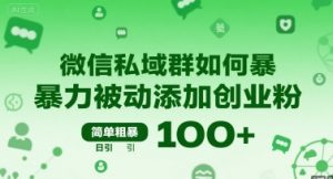 微信私域群如何暴力被动添加创业粉,简单粗暴,日引100+-网创资源站