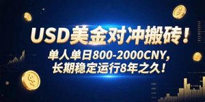 USD美金对冲搬砖!单人单日800-2000CNY，长期稳定运行8年之久!-网创资源站