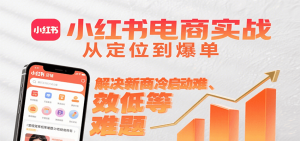 小红书电商实战,从定位到爆单解决新商冷启动难、变现效率低等难题-网创资源站