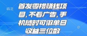 首发零撸挣钱项目 不看广告 手机随时可做 单日收益三位数【揭秘】-网创资源站
