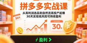 拼多多实战课：从高利润选品到自然流高投产起爆 30天实现低风险可持续盈利-网创资源站