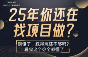 25年，你还在疯狂的找项目吗？别傻了，看完这个你都懂了【揭秘】-网创资源站