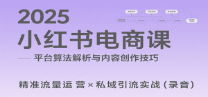 2025小红书电商课：解析算法，创作高转化内容，助力卖家获取流量实现变现(录音)-网创资源站