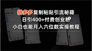 拼多多复制粘贴引流秘籍，日引400+付费创业粉，小白也能月入六位数实操…-网创资源站