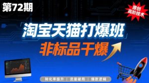 淘宝天猫打爆班原创高阶技术第72期,非标品干爆-网创资源站