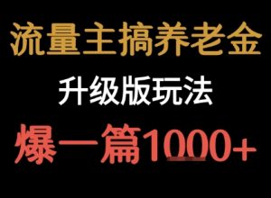 流量主之养老金升级版玩法 爆一篇收益1k+-网创资源站
