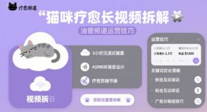 猫咪疗愈长视频拆解 &油管频道运营技巧-网创资源站