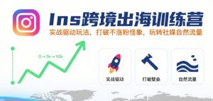 Ins跨境出海训练营，实战驱动玩法，打破不涨粉怪象，玩转社媒自然流量-网创资源站
