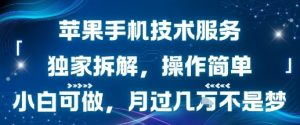 苹果手机技术服务，独家拆解，操作简单，小白可做，月过1W不是梦-网创资源站