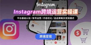 Instagram跨境运营实战:平台认知/账号运营/内容优化/选品策略及变现模式-网创资源站