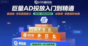 巨量AD投放入门到精通,基础版+进阶版+加餐课-网创资源站