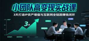小团队高变现实战课，3天打造IP资产增值与互联网全链路赚钱闭环(第二期)-网创资源站
