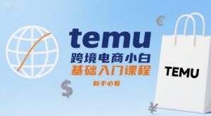 temu跨境电商小白基础入门课程，新手必看-网创资源站