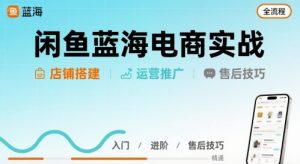 闲鱼蓝海电商实战，店铺搭建运营售后全流程-网创资源站