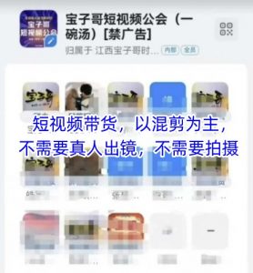 宝子哥头部团队短视频带货,以混剪为主,不需要真人出镜,不需要拍摄【更新8月】-网创资源站